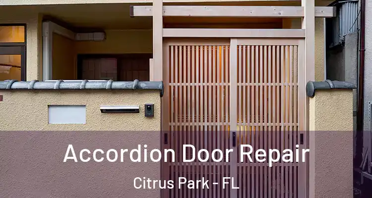 Accordion Door Repair Citrus Park - FL