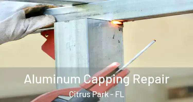 Aluminum Capping Repair Citrus Park - FL