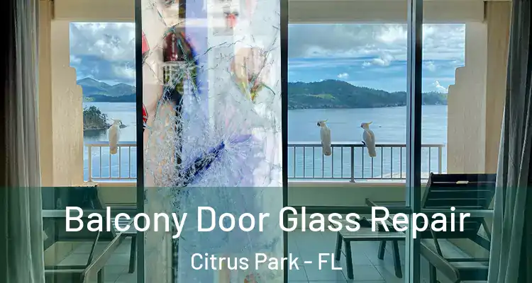 Balcony Door Glass Repair Citrus Park - FL