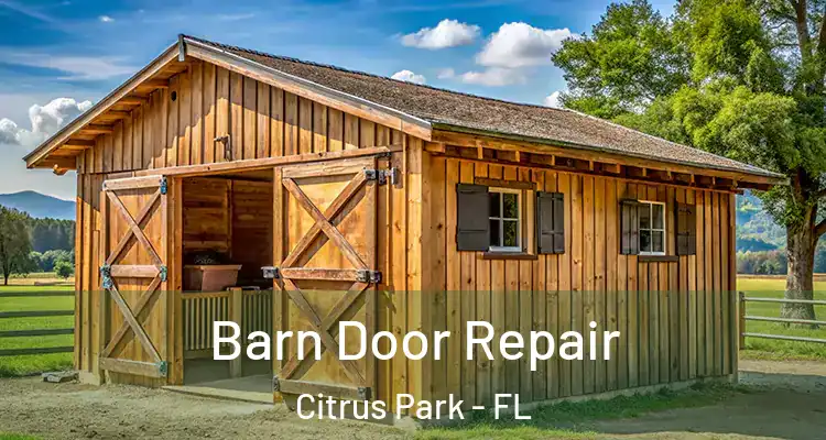 Barn Door Repair Citrus Park - FL