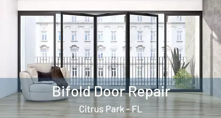 Bifold Door Repair Citrus Park - FL