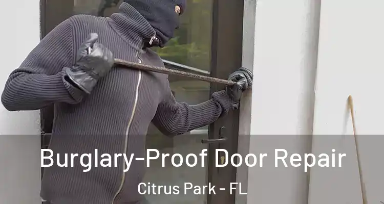 Burglary-Proof Door Repair Citrus Park - FL