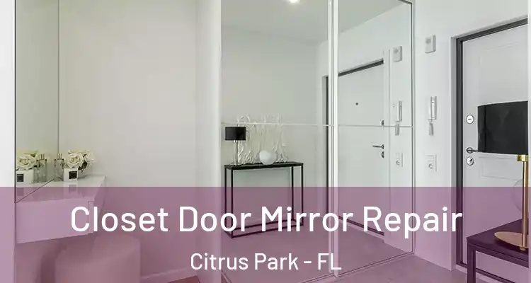 Closet Door Mirror Repair Citrus Park - FL