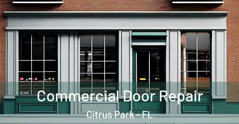 Commercial Door Repair Citrus Park - FL