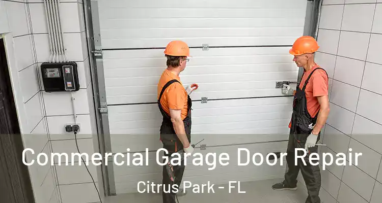 Commercial Garage Door Repair Citrus Park - FL
