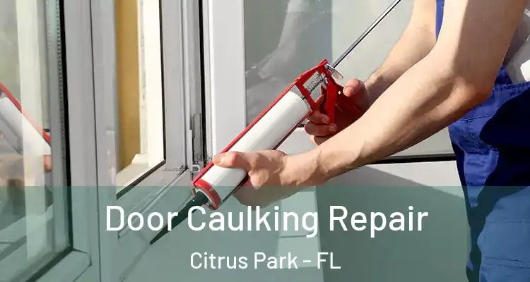 Door Caulking Repair Citrus Park - FL
