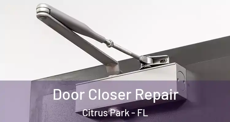 Door Closer Repair Citrus Park - FL