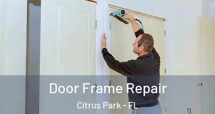 Door Frame Repair Citrus Park - FL