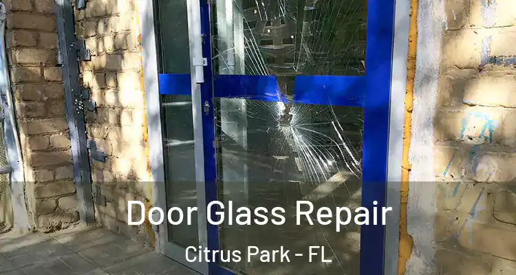 Door Glass Repair Citrus Park - FL