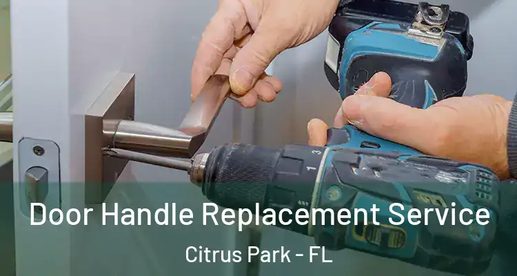 Door Handle Replacement Service Citrus Park - FL