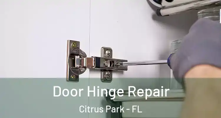 Door Hinge Repair Citrus Park - FL