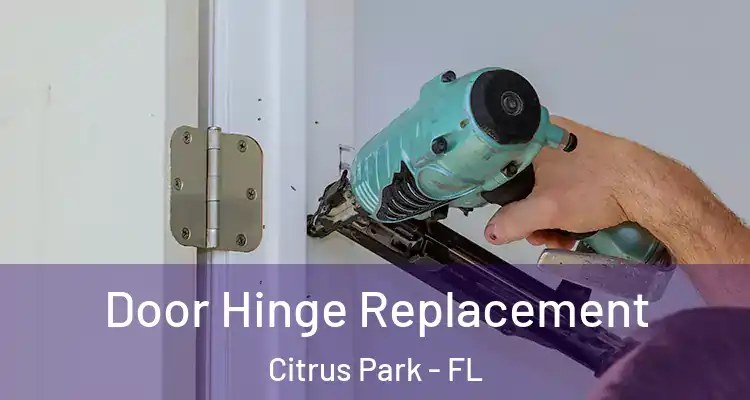Door Hinge Replacement Citrus Park - FL