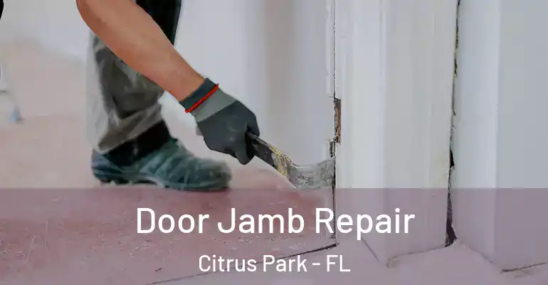 Door Jamb Repair Citrus Park - FL