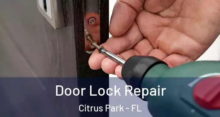 Door Lock Repair Citrus Park - FL