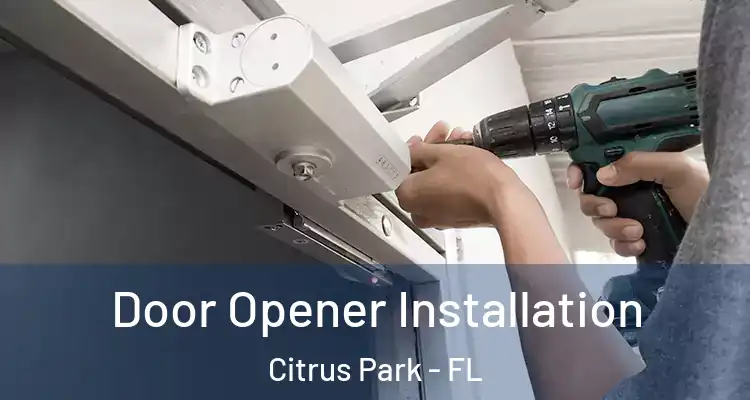 Door Opener Installation Citrus Park - FL