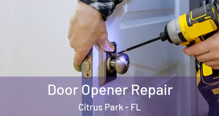 Door Opener Repair Citrus Park - FL