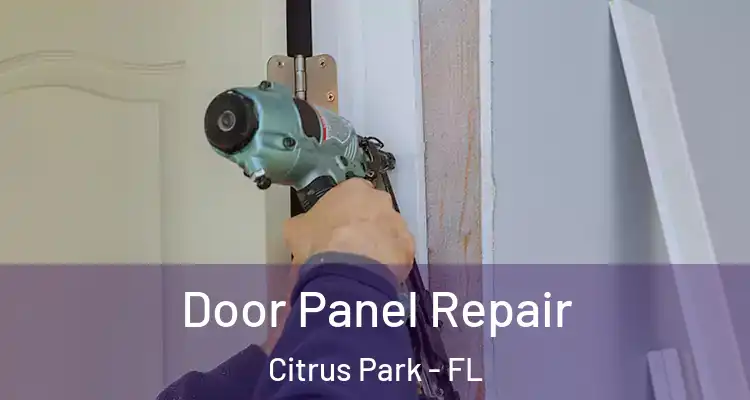 Door Panel Repair Citrus Park - FL