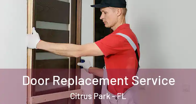Door Replacement Service Citrus Park - FL
