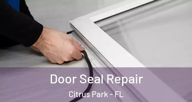 Door Seal Repair Citrus Park - FL