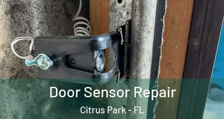 Door Sensor Repair Citrus Park - FL