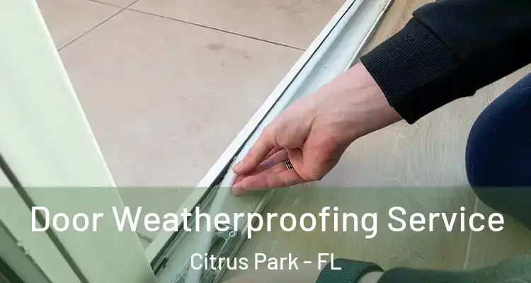 Door Weatherproofing Service Citrus Park - FL