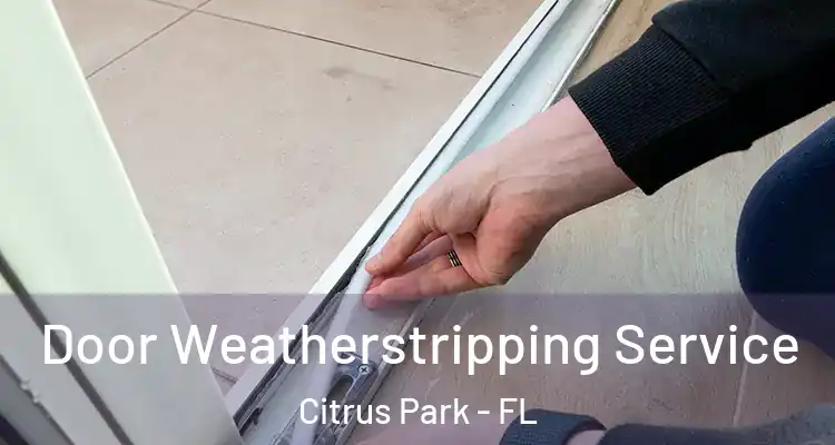 Door Weatherstripping Service Citrus Park - FL