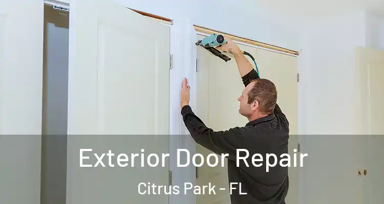 Exterior Door Repair Citrus Park - FL
