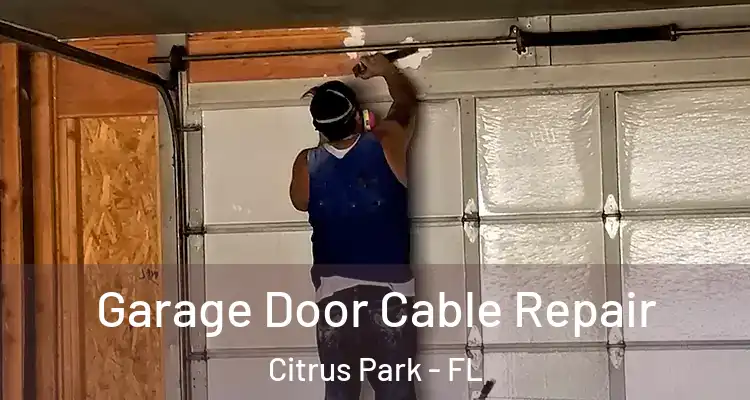 Garage Door Cable Repair Citrus Park - FL