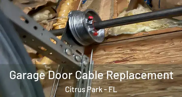 Garage Door Cable Replacement Citrus Park - FL