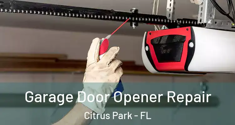 Garage Door Opener Repair Citrus Park - FL