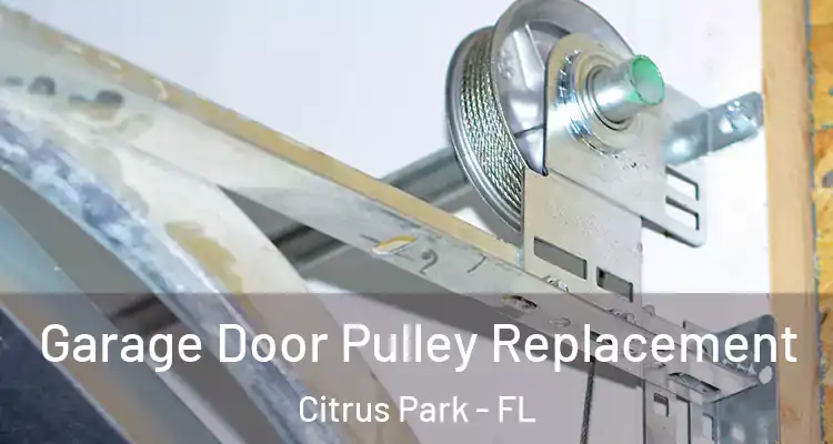 Garage Door Pulley Replacement Citrus Park - FL