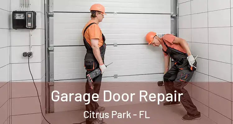 Garage Door Repair Citrus Park - FL