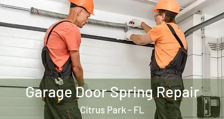 Garage Door Spring Repair Citrus Park - FL