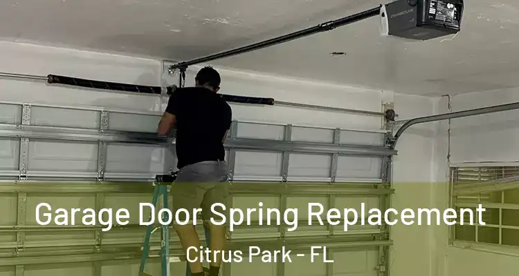 Garage Door Spring Replacement Citrus Park - FL