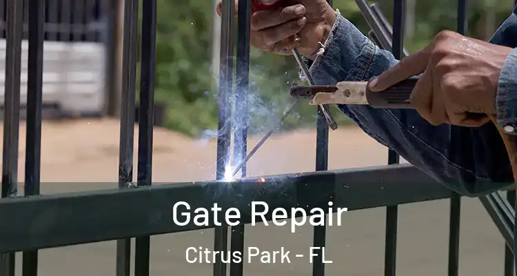 Gate Repair Citrus Park - FL