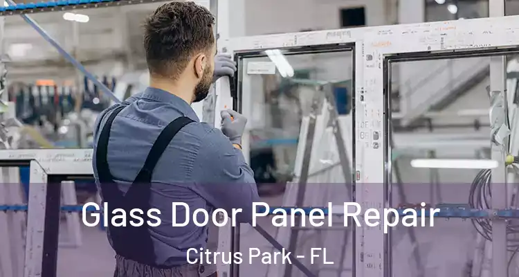 Glass Door Panel Repair Citrus Park - FL