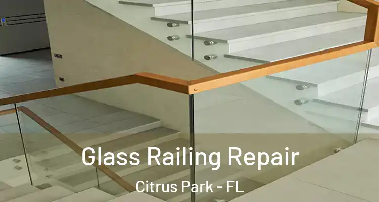 Glass Railing Repair Citrus Park - FL
