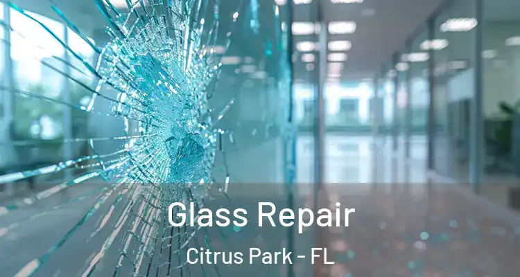 Glass Repair Citrus Park - FL
