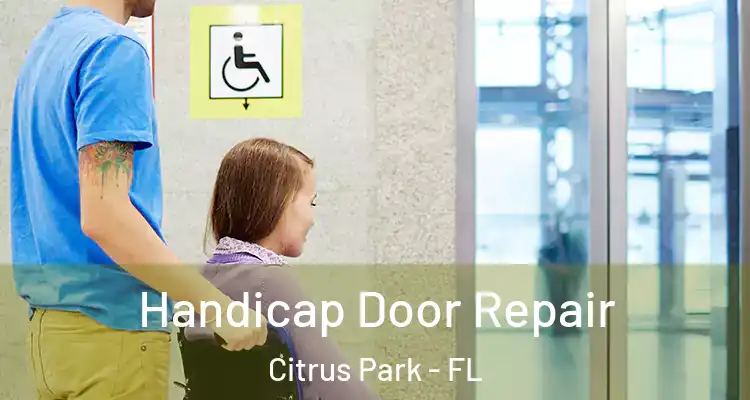 Handicap Door Repair Citrus Park - FL