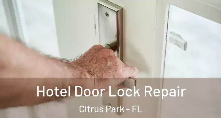 Hotel Door Lock Repair Citrus Park - FL