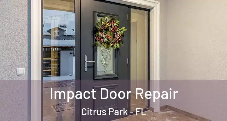 Impact Door Repair Citrus Park - FL