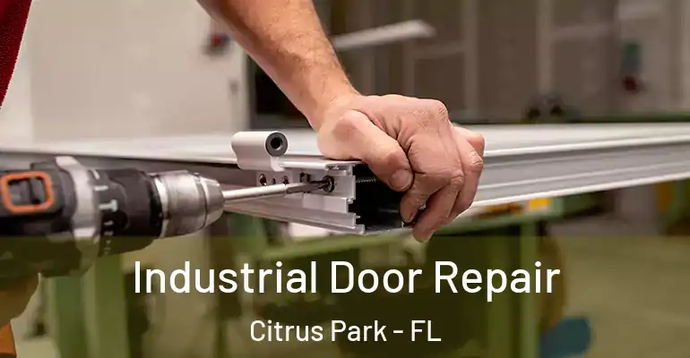 Industrial Door Repair Citrus Park - FL
