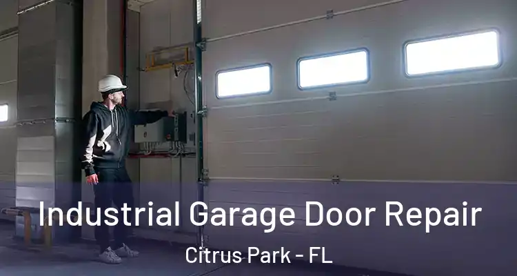 Industrial Garage Door Repair Citrus Park - FL