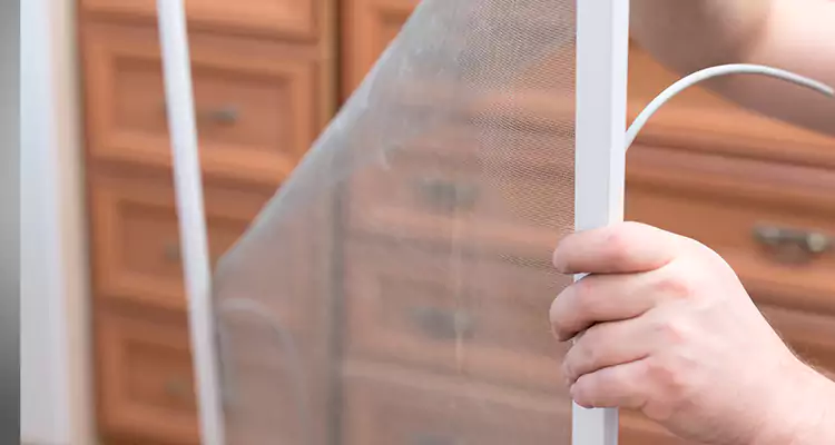 Privacy Mesh Screen Door Installation in Citrus Park, FL