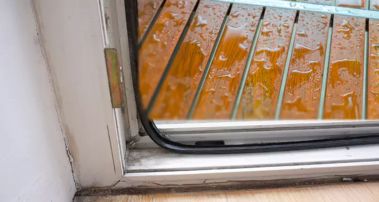Water Leaking Wooden Patio Doors Repair in Citrus Park, FL