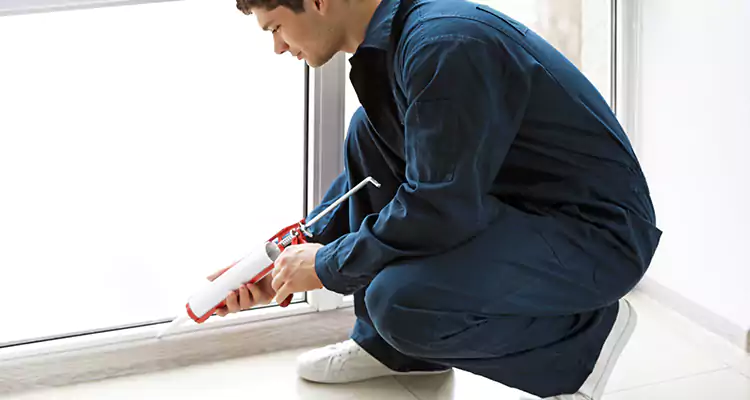 Window Glass Caulk Repair in Citrus Park, FL