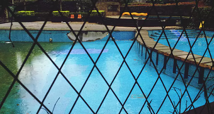 Lanai Screen Repair in Citrus Park, FL