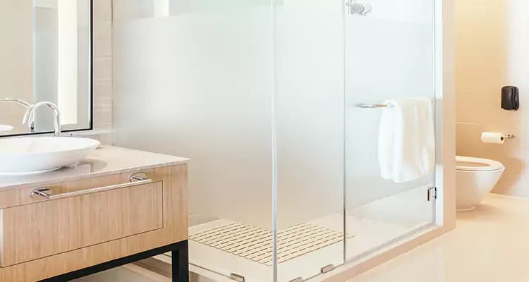 Expert Shower Door Fix and Repair in Citrus Park, FL