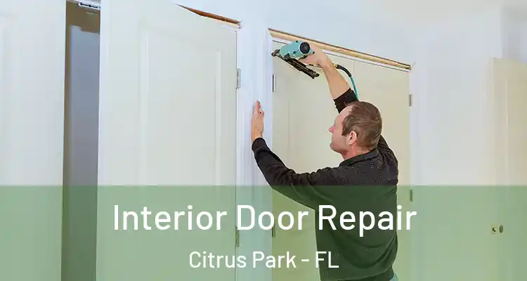 Interior Door Repair Citrus Park - FL