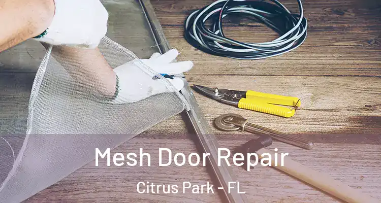 Mesh Door Repair Citrus Park - FL